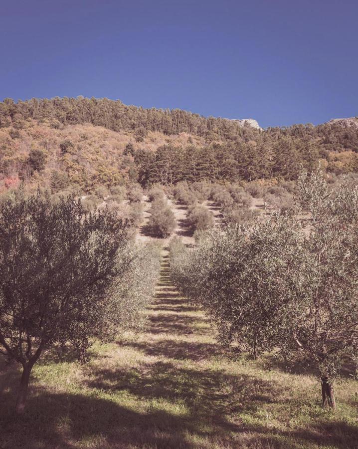Agriturismo Querceto Mocaiana Kültér fotó