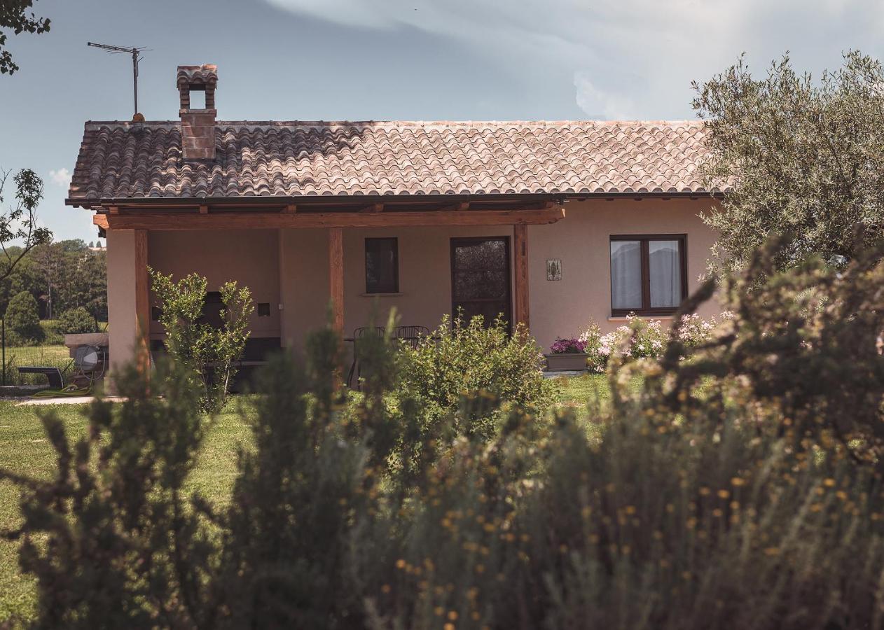 Agriturismo Querceto Mocaiana Kültér fotó
